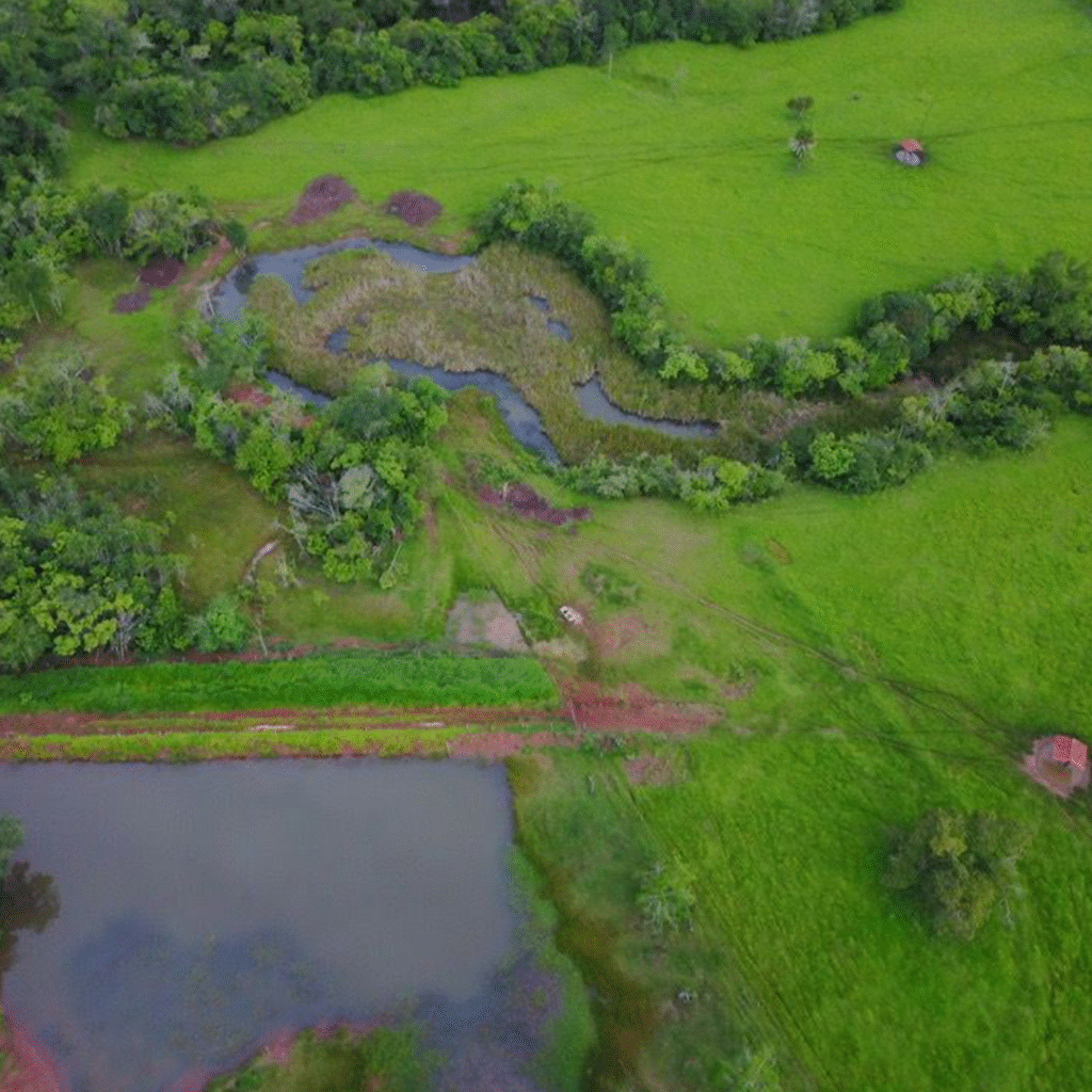 TERRENO_0000_WhatsApp-Image-2025-06-10-at-23.19.01