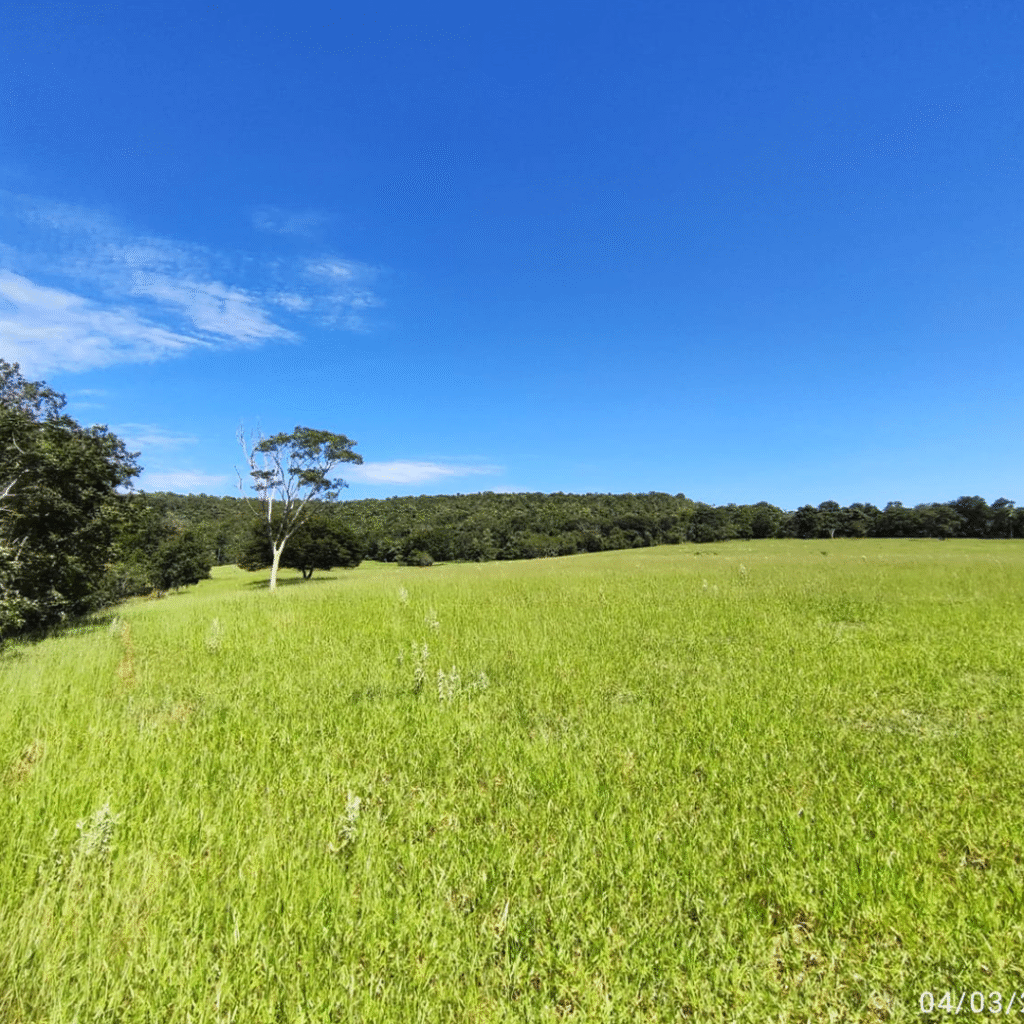 TERRENO_0002_WhatsApp-Image-2025-06-10-at-23.21.15-(2)