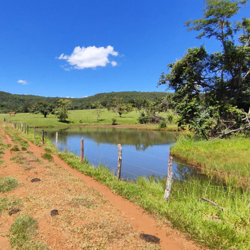 TERRENO_0003_WhatsApp-Image-2025-06-10-at-23.21.15-(1)