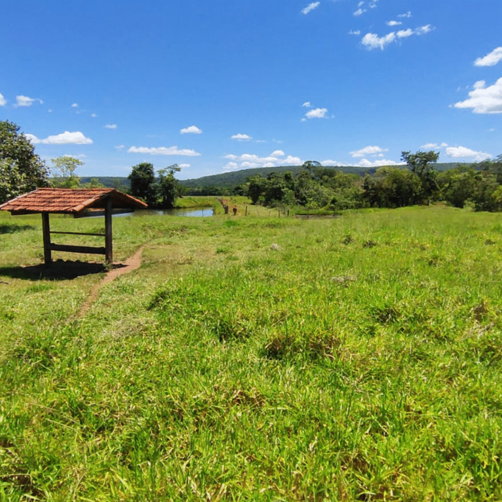 TERRENO_0004_WhatsApp-Image-2025-06-10-at-23.21.14-(1)