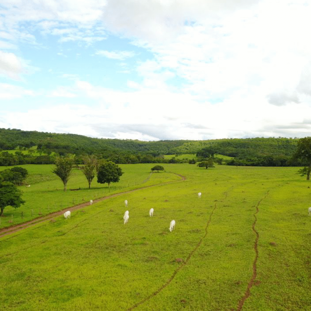 TERRENO_0005_WhatsApp-Image-2025-06-10-at-23.19.01-(1)